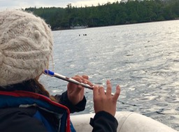 A pennyWhistle for you Otters today