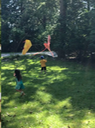 fly a kite children