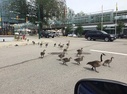 Nature is allowed to watch us back 