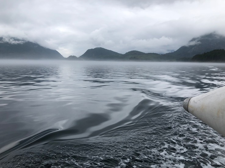 The sky is in the waters